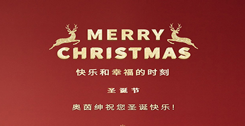 圣诞欢乐